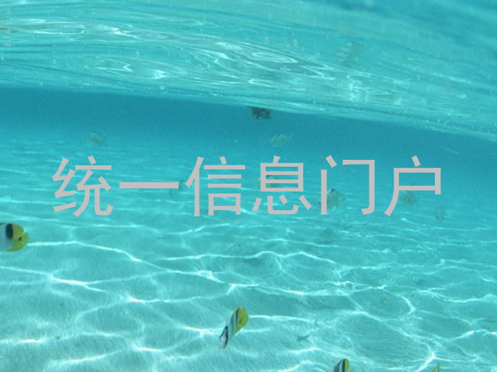 统一信息门户