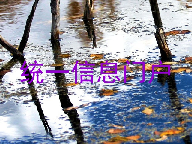 统一信息门户