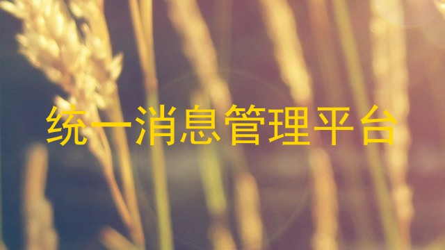 统一消息管理平台