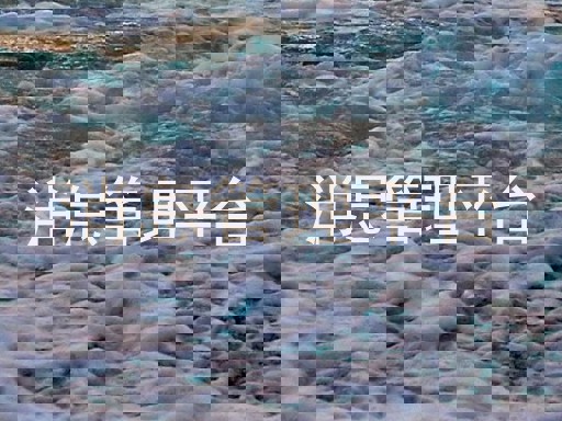 消息管理平台