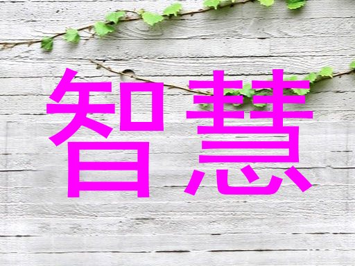 智慧
