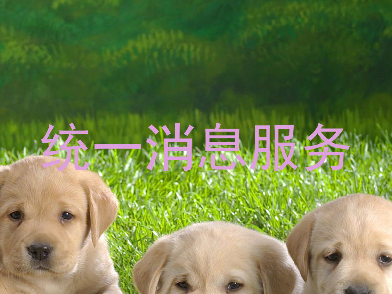 统一消息服务