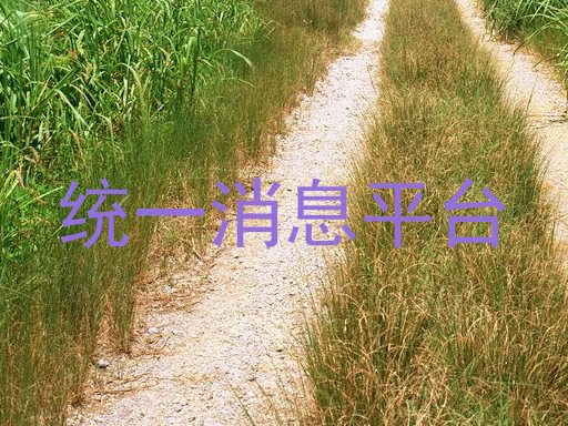 统一消息平台