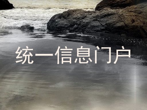 统一信息门户