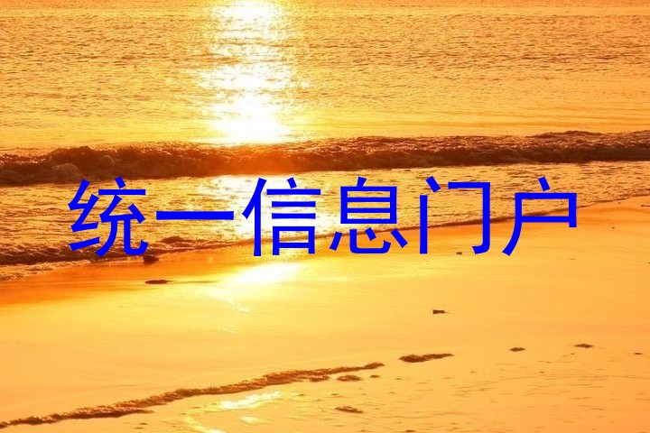 统一信息门户