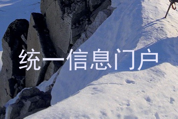 统一信息门户