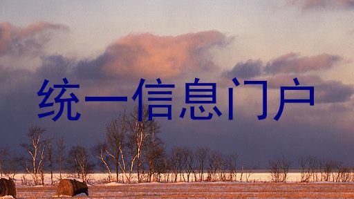 统一信息门户