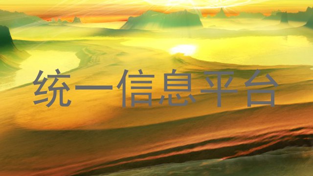 统一信息平台
