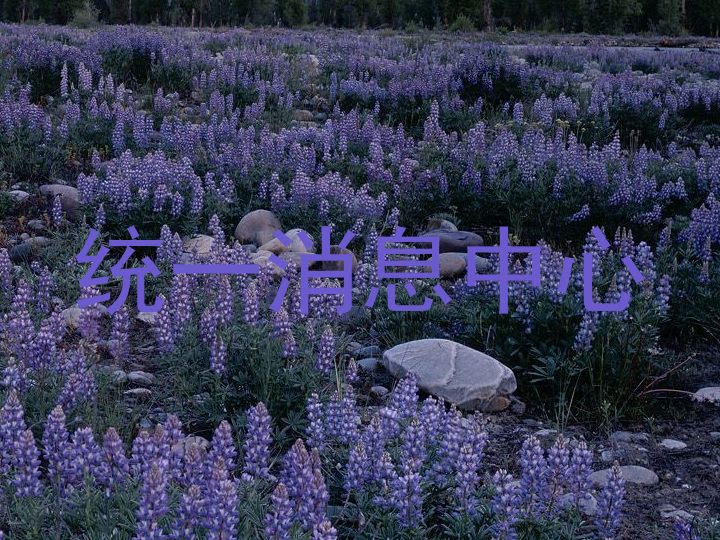 统一消息中心