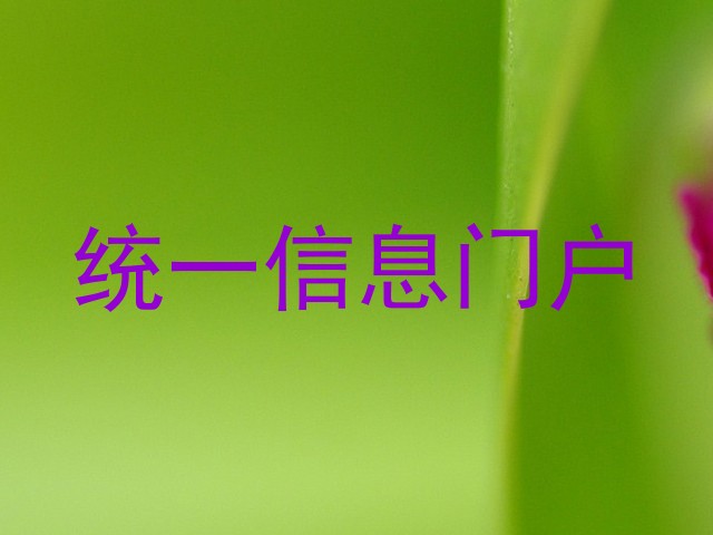 统一信息门户