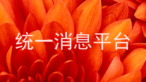 统一消息平台