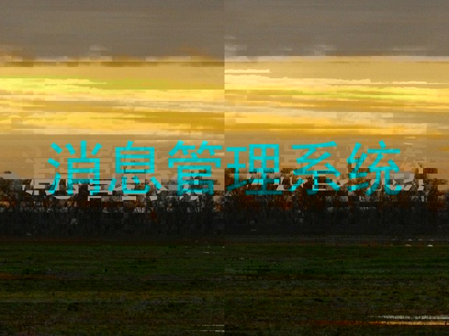 消息管理系统
