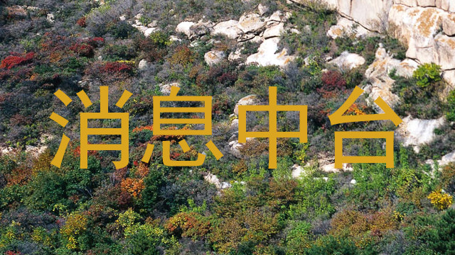 消息中台