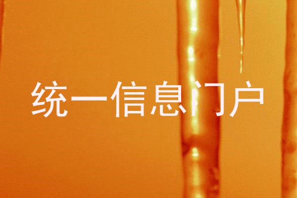 统一信息门户