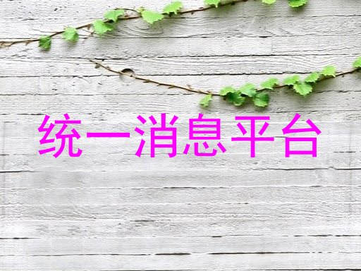 统一消息平台