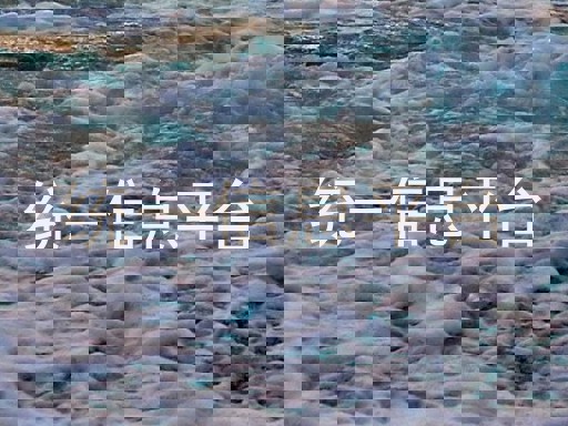 统一信息平台