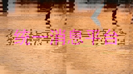 统一消息平台