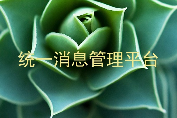 统一消息管理平台