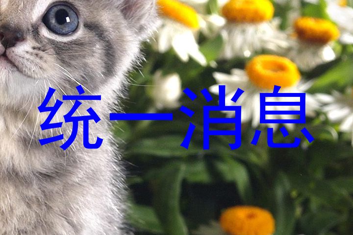 统一消息