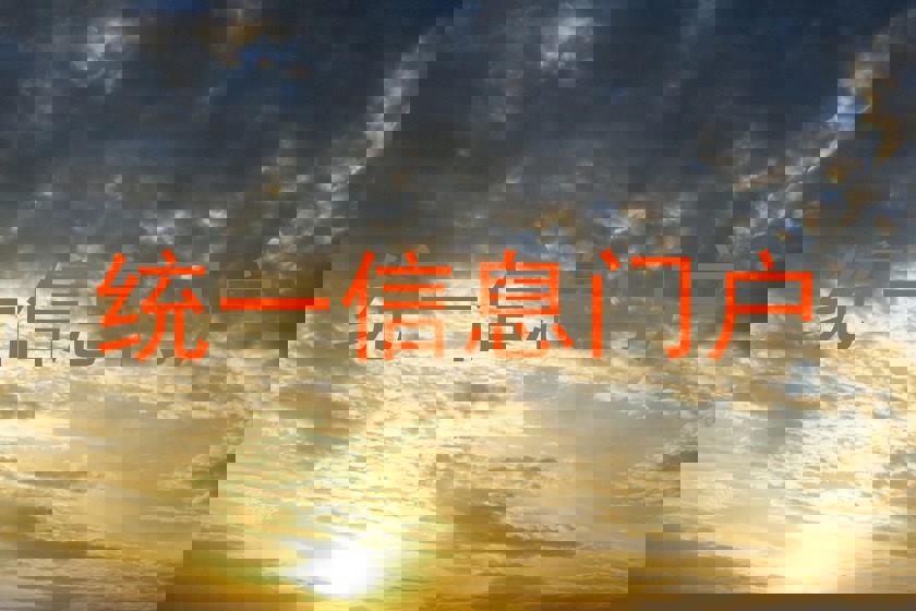 统一信息门户