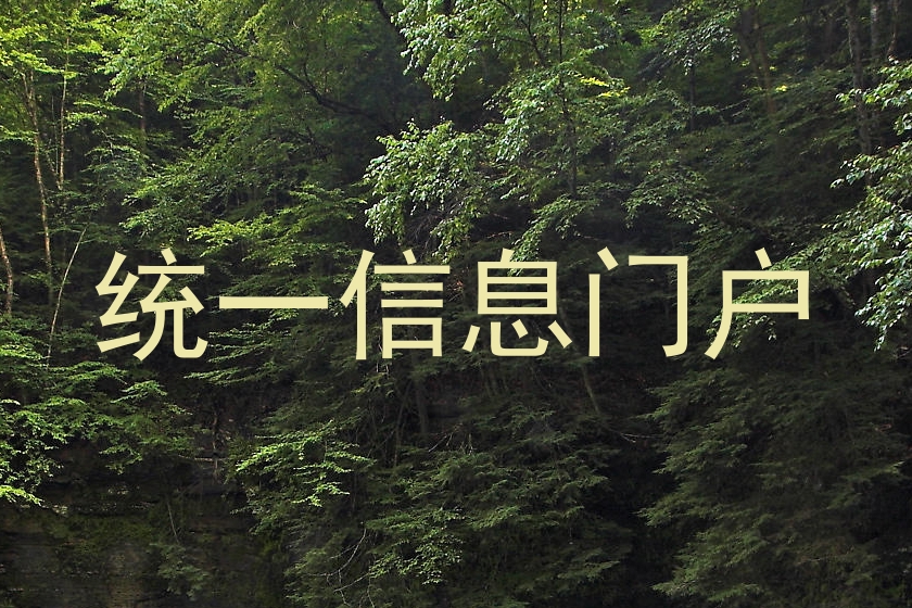 统一信息门户