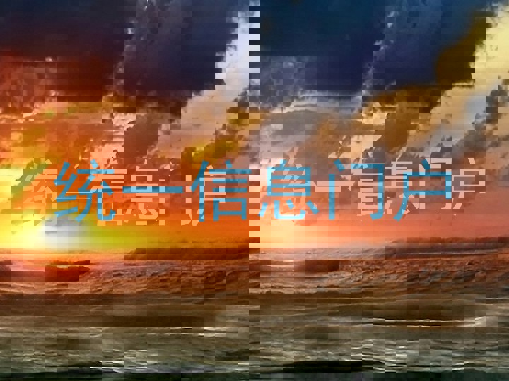 统一信息门户