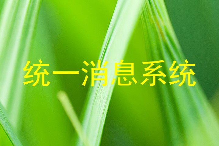 统一消息系统