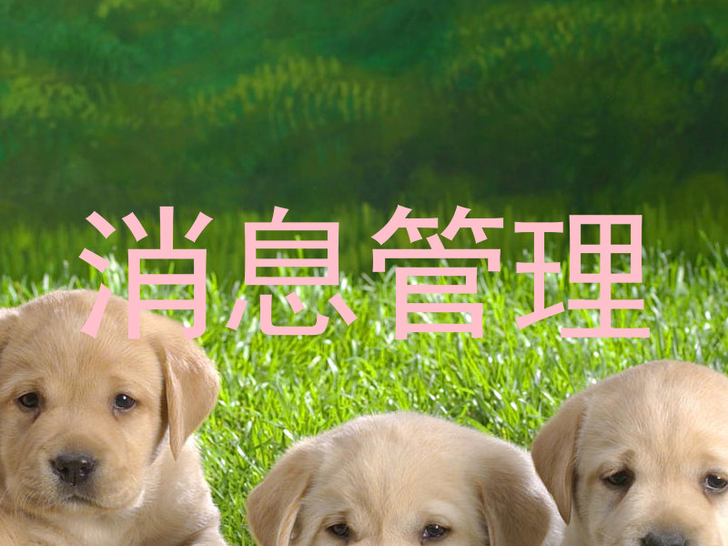 消息管理