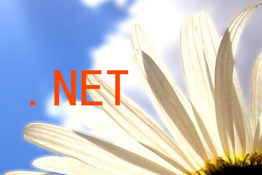 .NET