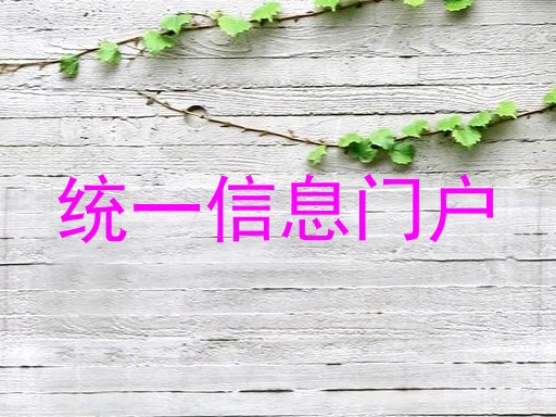 统一信息门户