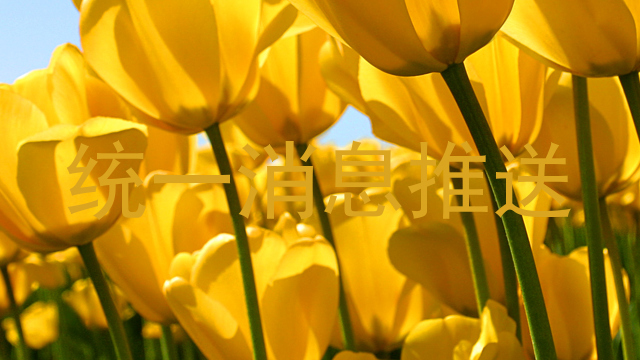 统一消息推送