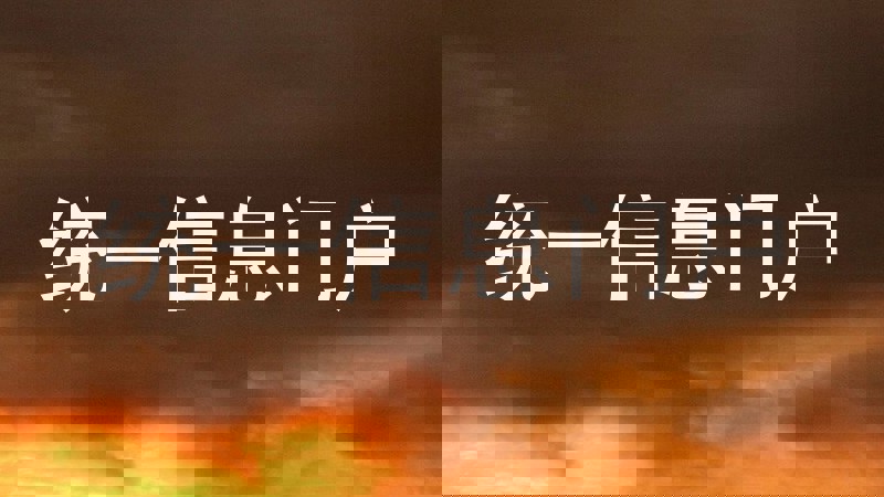 统一信息门户