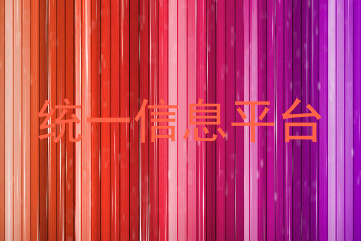 统一信息平台
