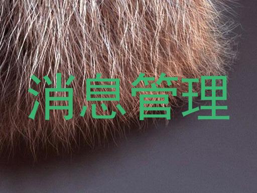 消息管理