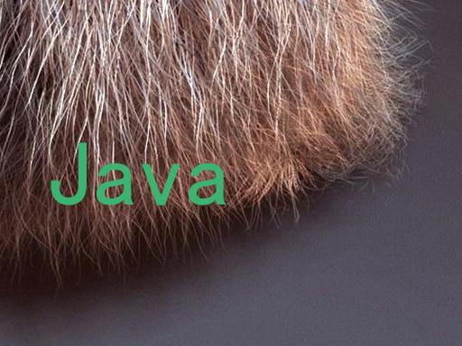 Java