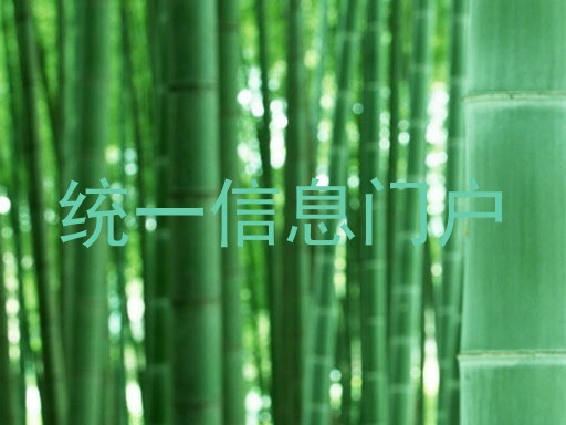 统一信息门户