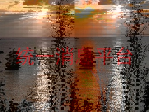 统一消息平台
