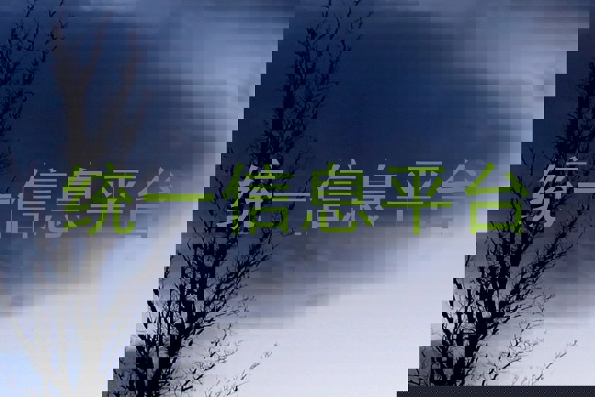 统一信息平台