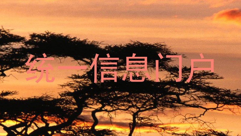 统一信息门户