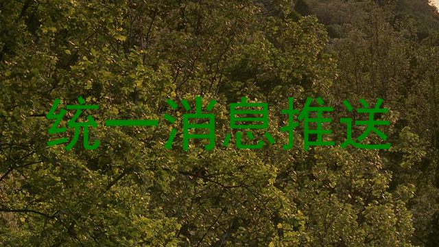 统一消息推送