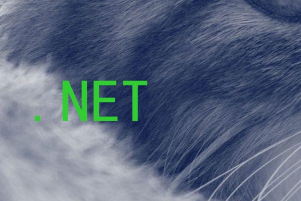 .NET