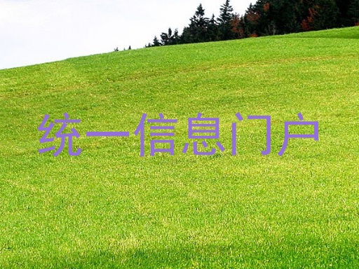 统一信息门户