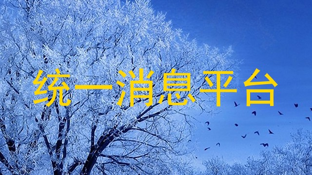 统一消息平台