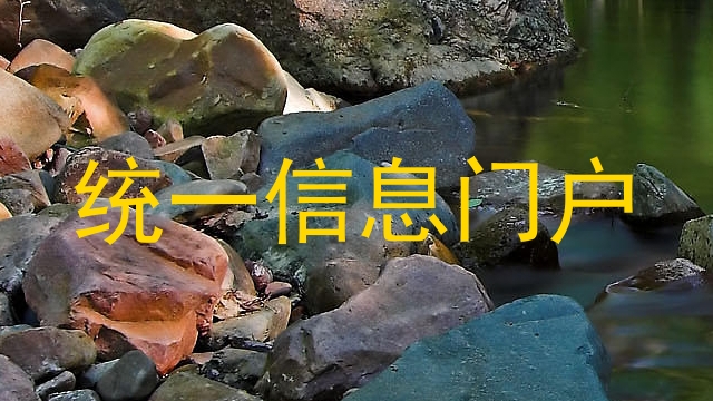 统一信息门户