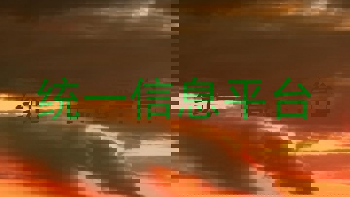 统一信息平台