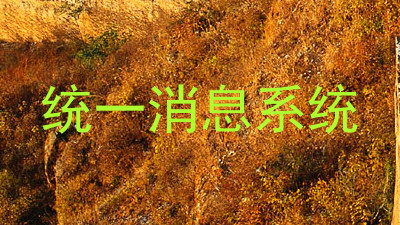 统一消息系统
