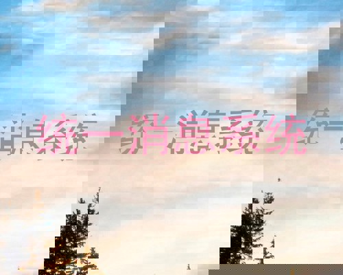 统一消息系统