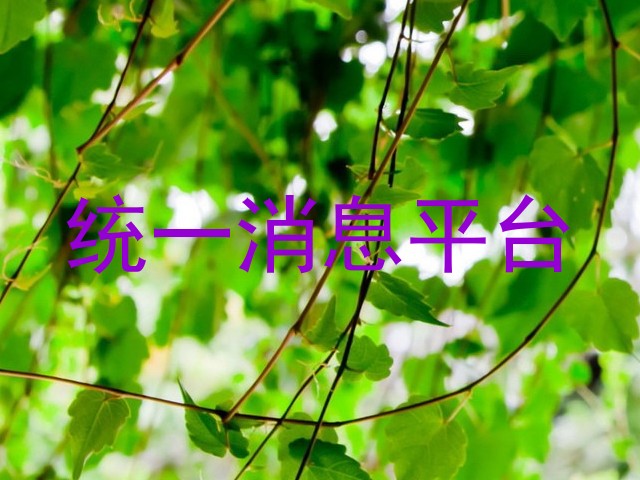 统一消息平台