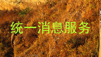 统一消息服务