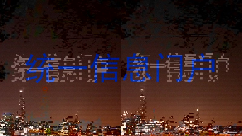统一信息门户
